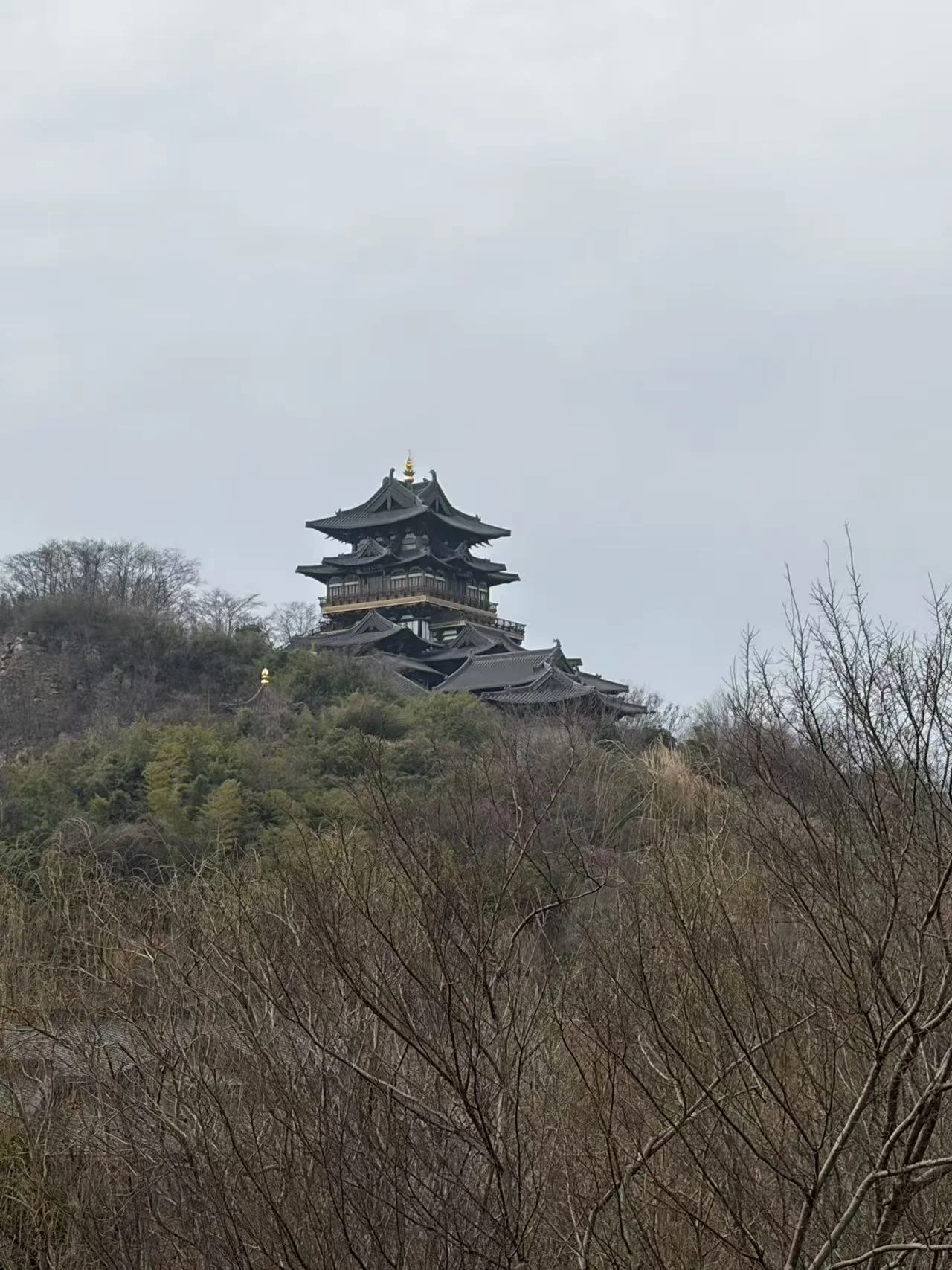 微信图片_20260601113919_205_8.webp