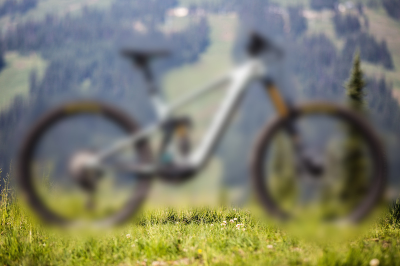 0499EA7A-9FDF-4062-A58B-9551A8C0057F.jpeg