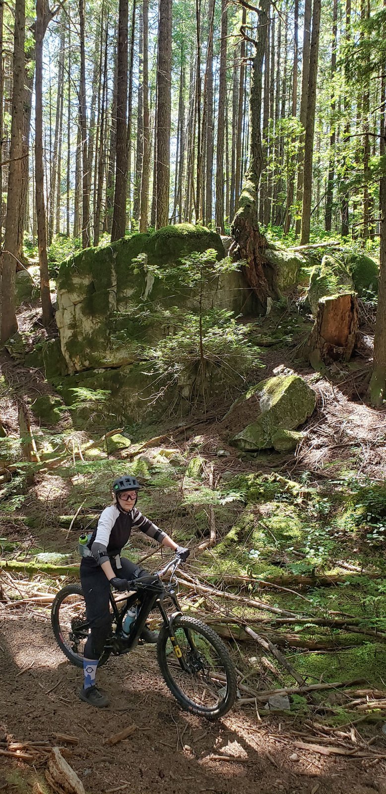 06 mid Trail.jpg