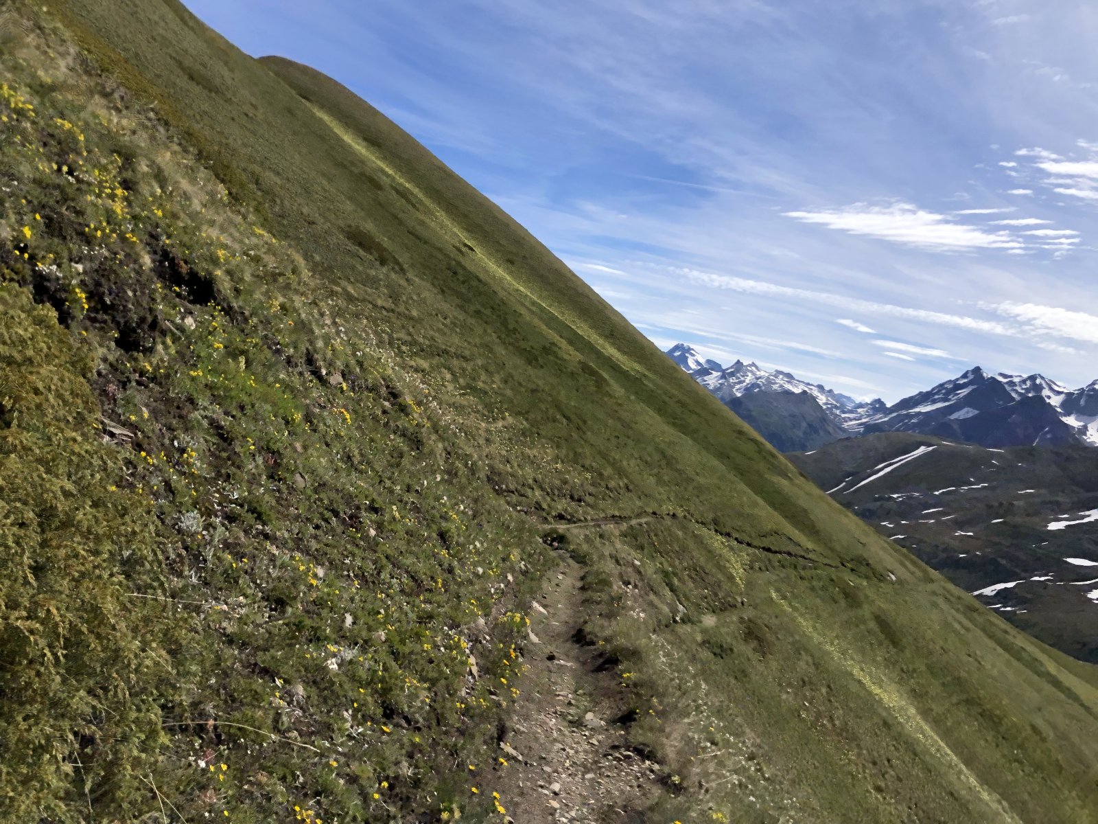 067AA321-E3F8-4641-AA18-6087ED5C41C9.jpeg