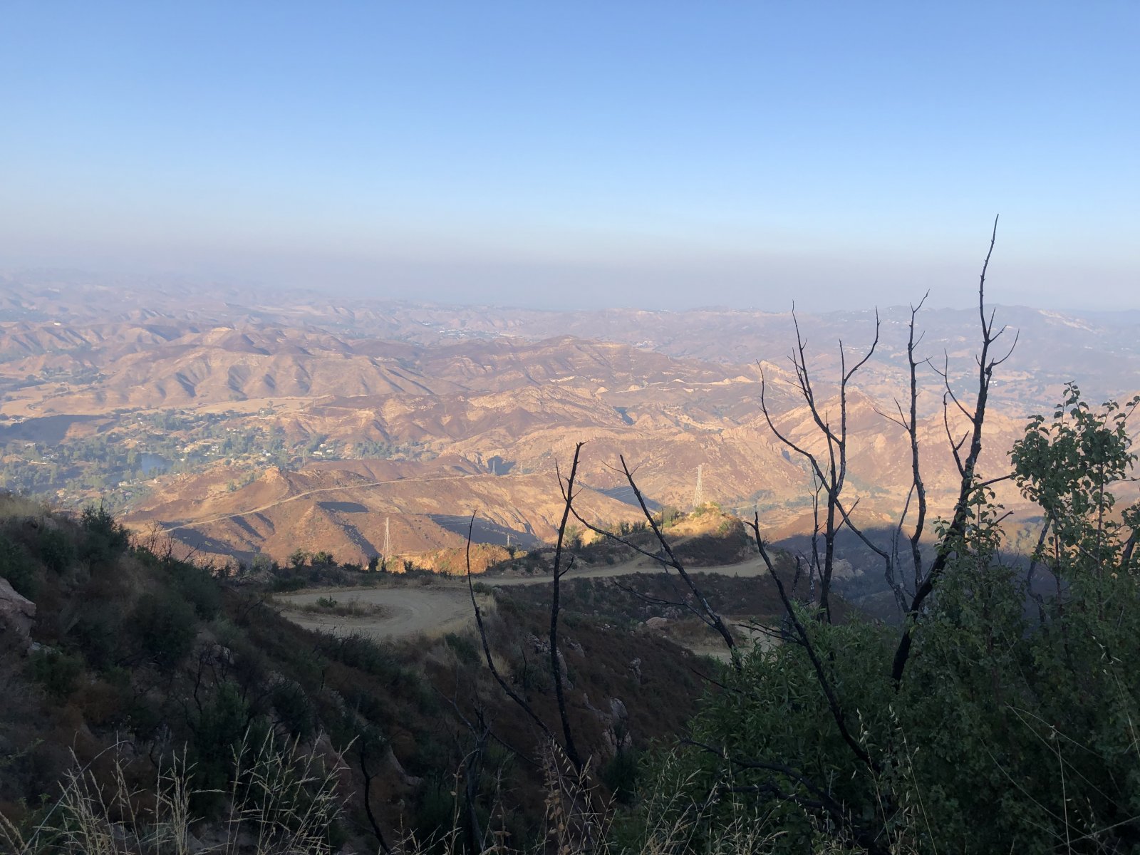 0A420C5F-214B-4D60-8697-E8E63C20007B.jpeg