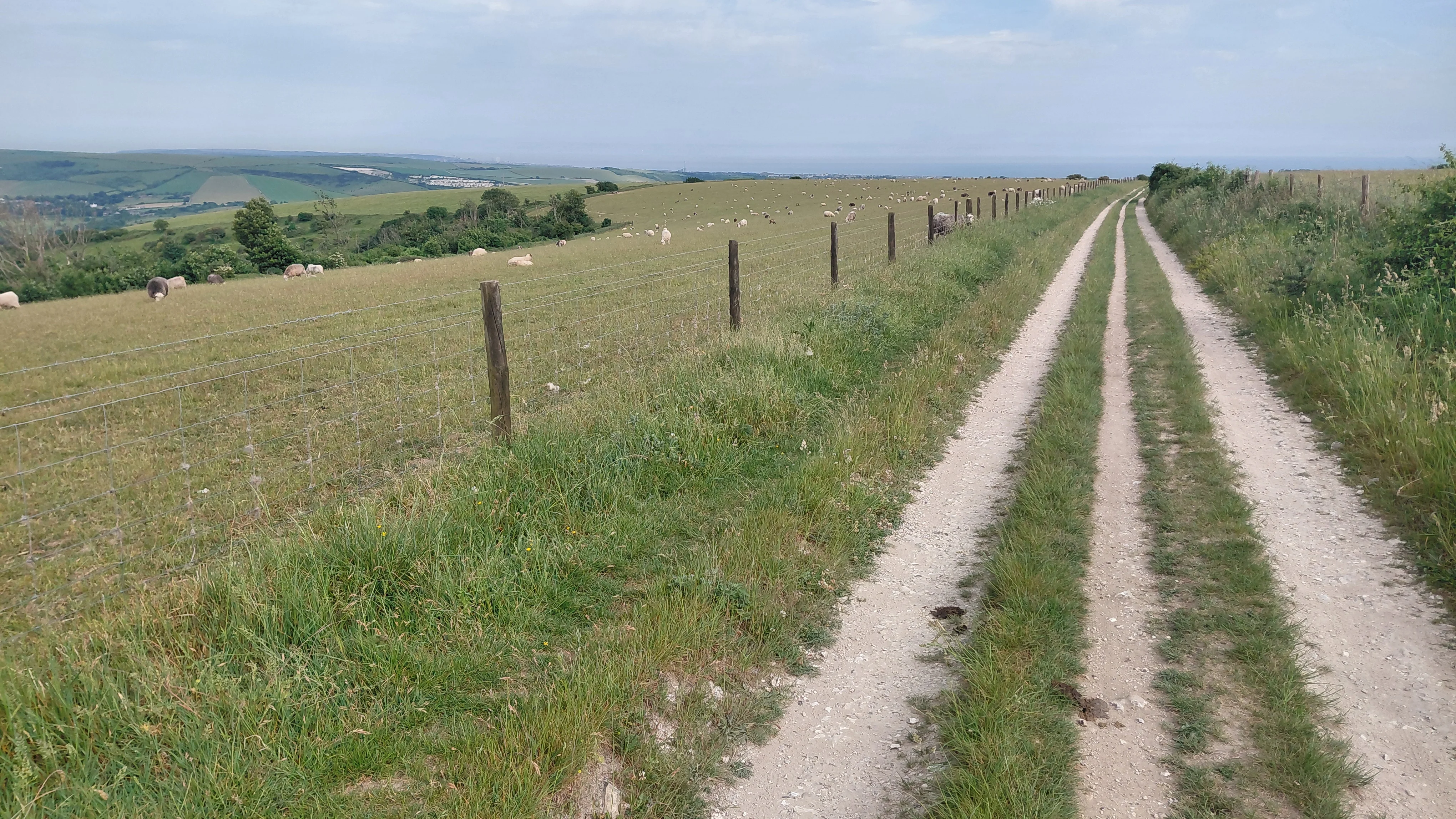 1000016056.webp