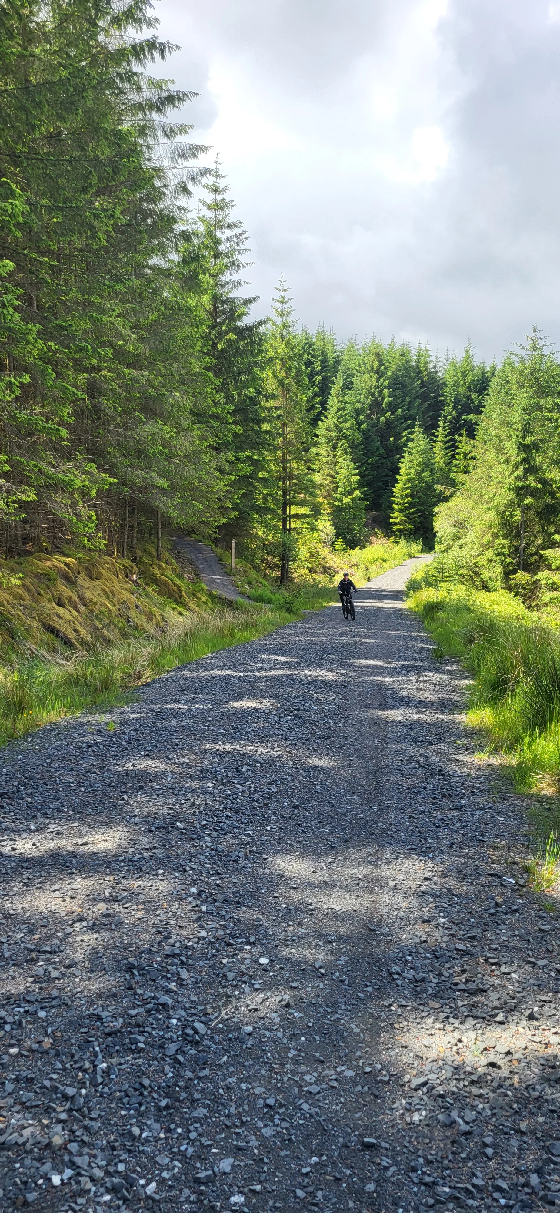 1000021692.webp