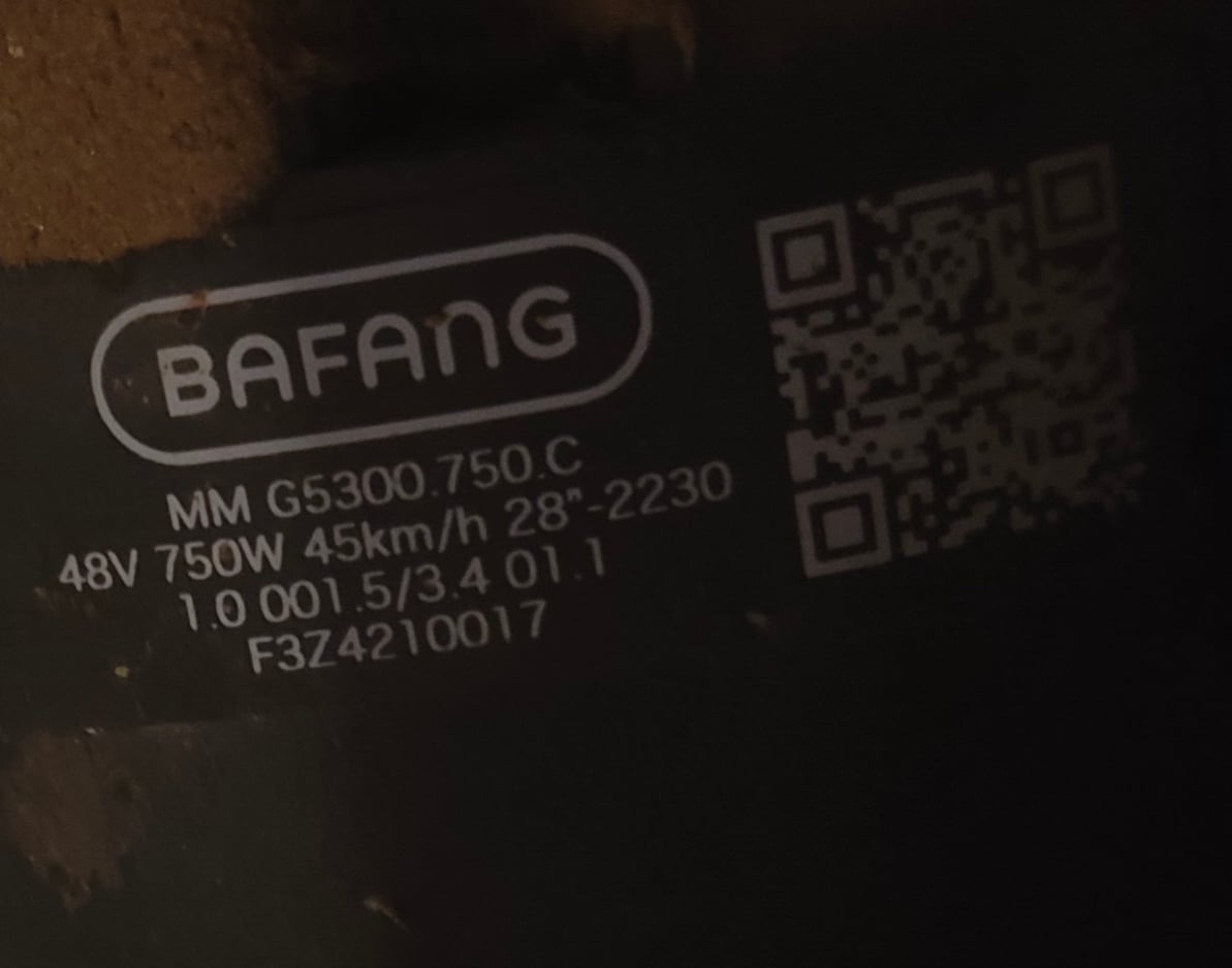 1000029268.jpg