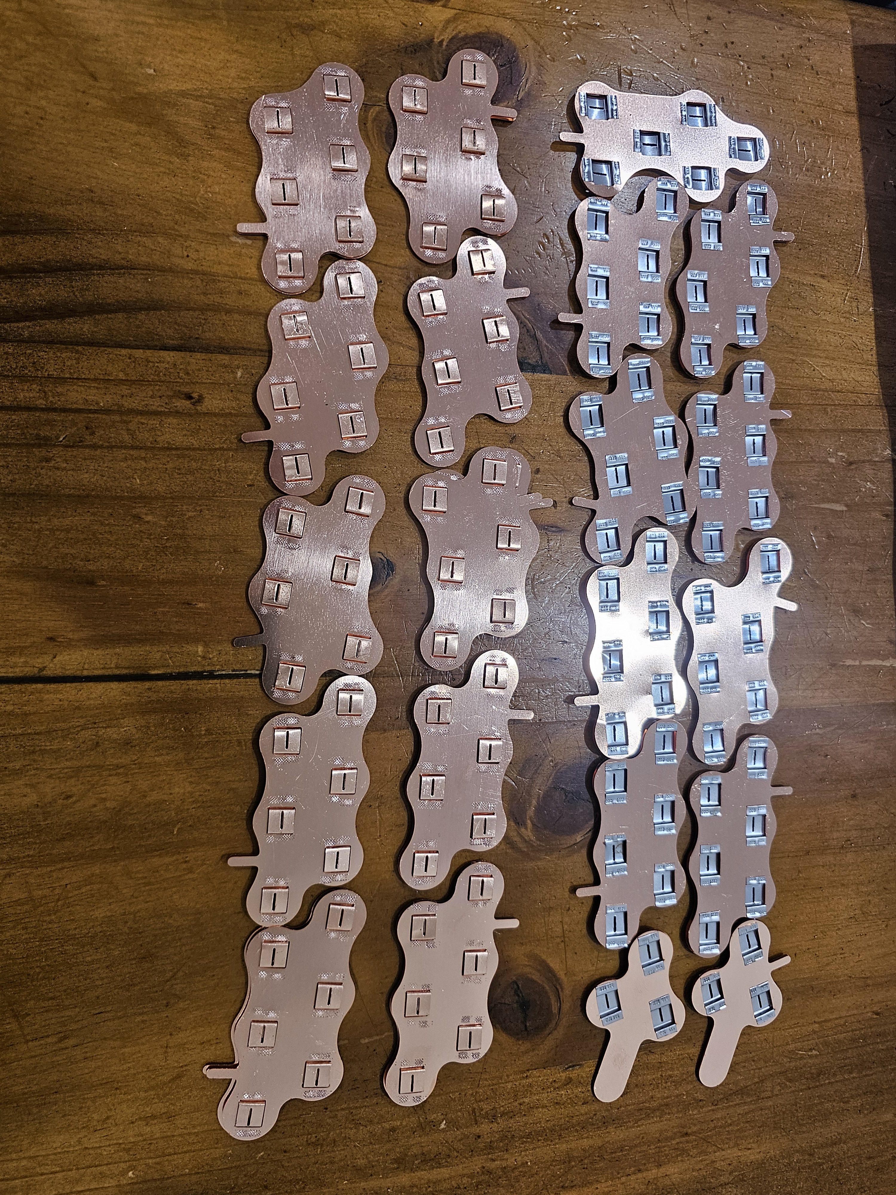 1000035270.jpg