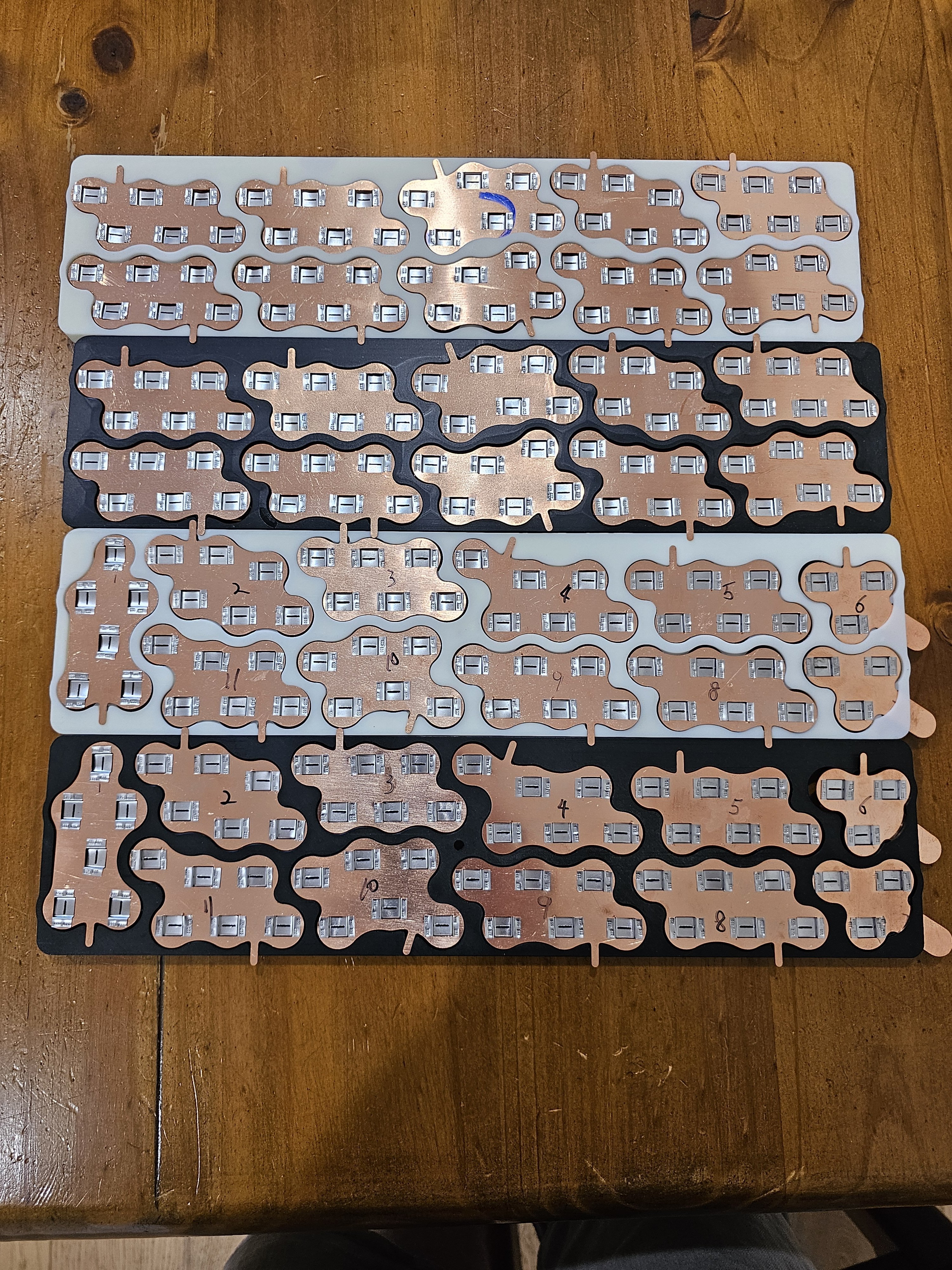 1000035455.jpg