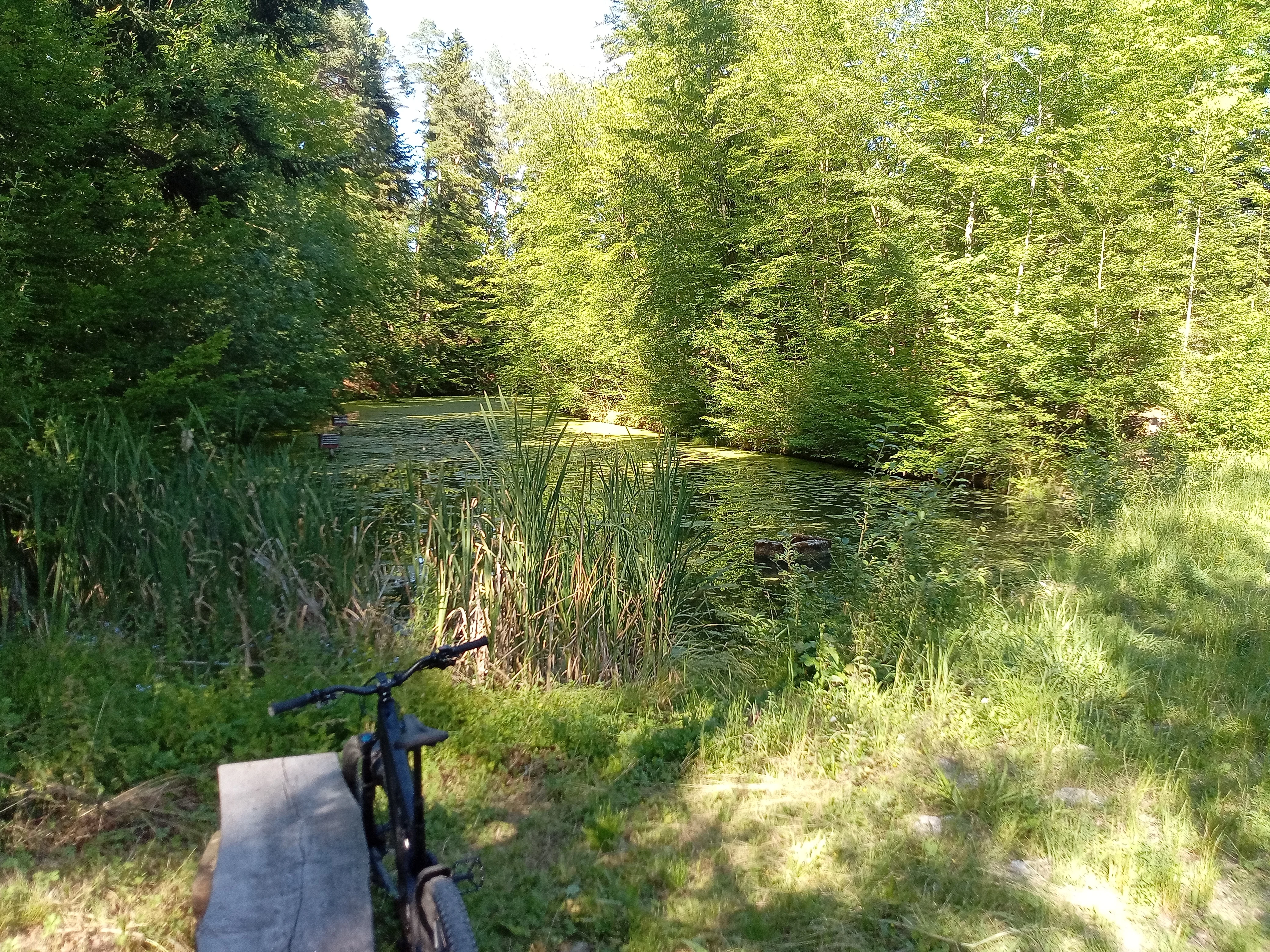 1000068122.webp