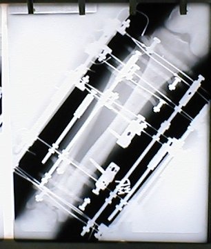 10398489_1138847904421_614172_n.jpg