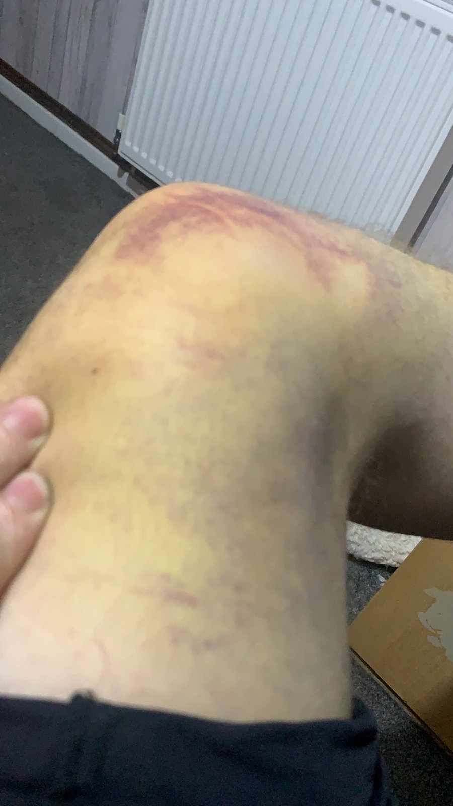 10A90455-B380-47C0-A23E-9C42A36FF074.jpeg