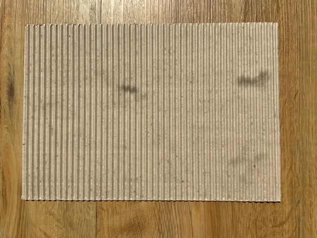 1217B0E8-7C83-449A-A307-4430B3E6CDA0.jpeg