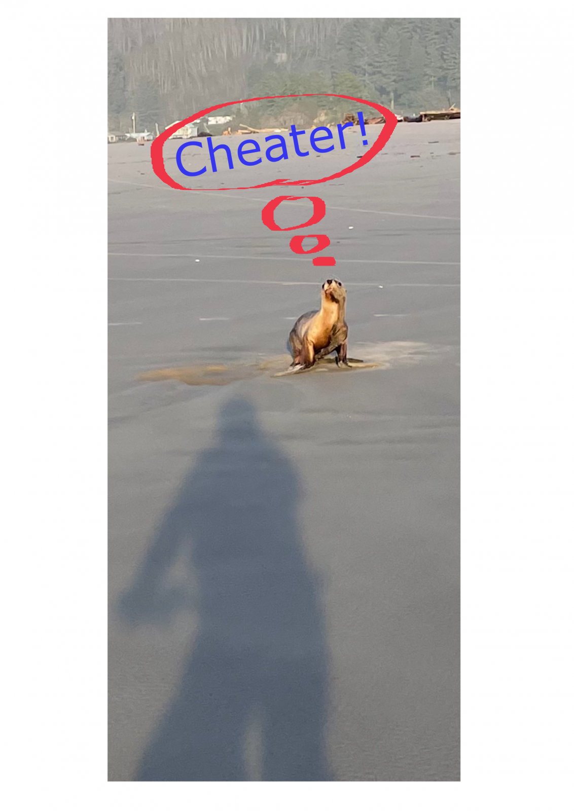 1642362084211.png