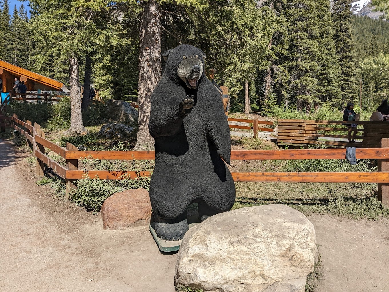1706718739937.jpeg