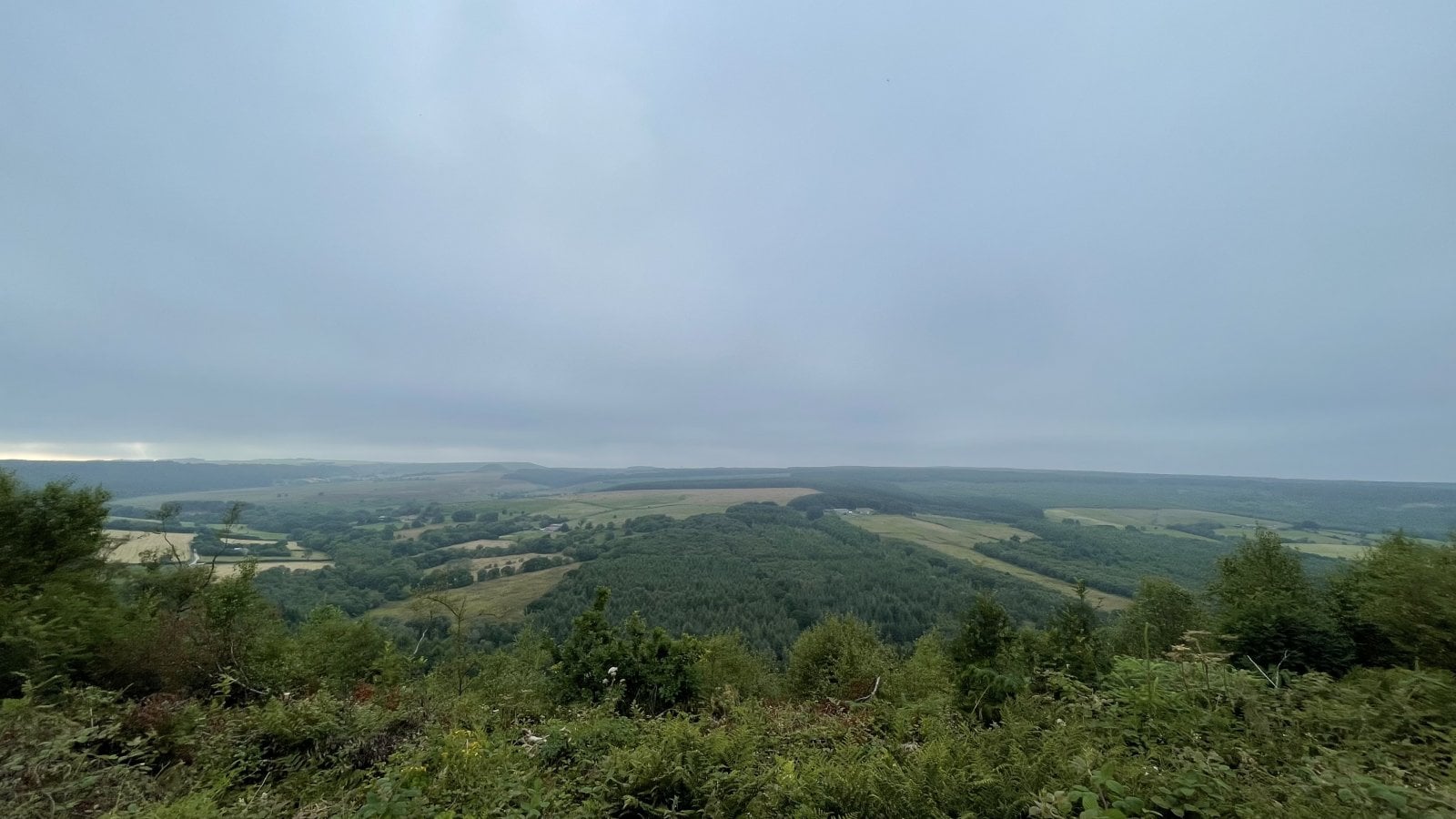 174D35A5-C54E-4805-9B31-54C803F53009.jpeg