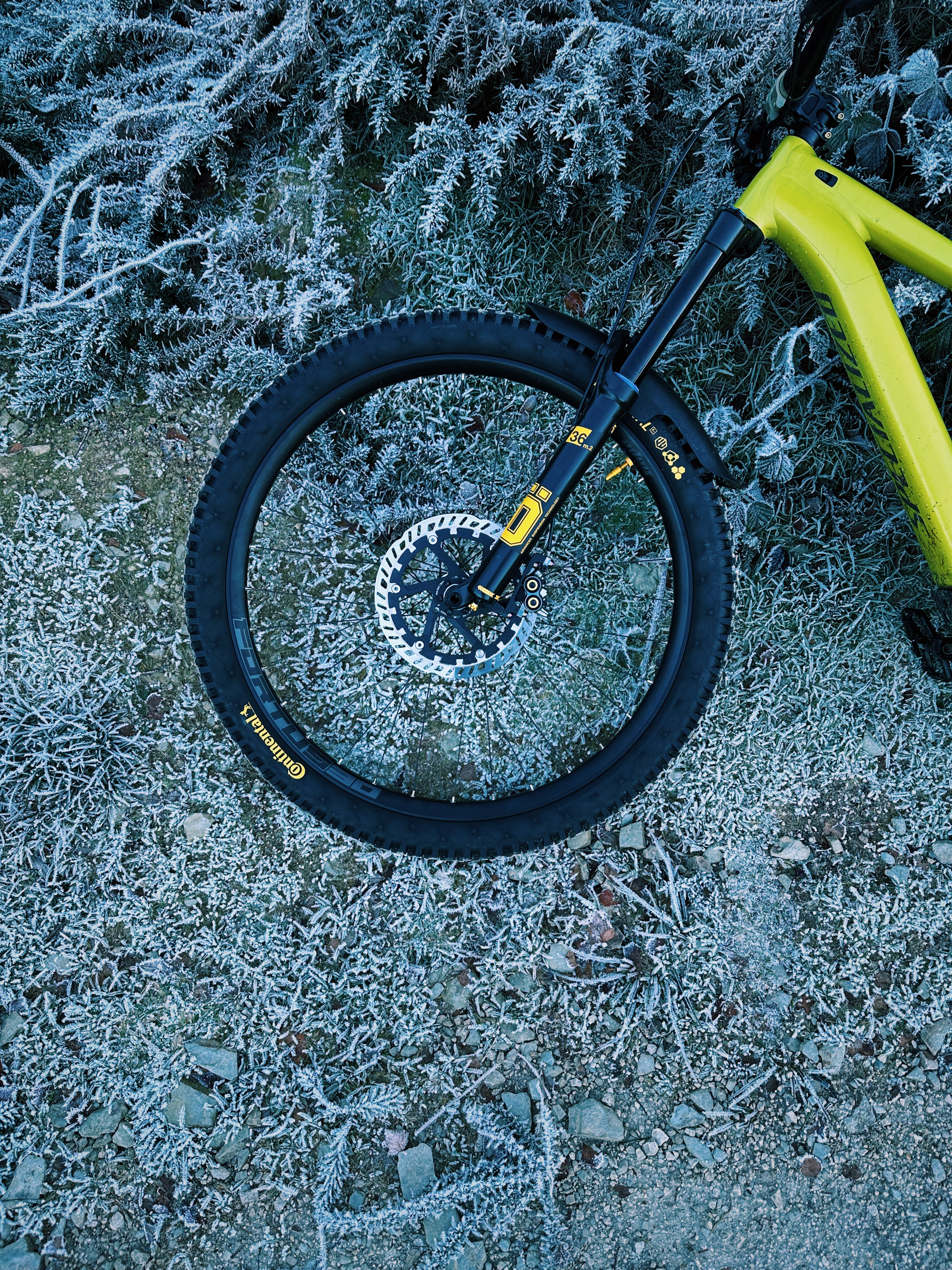 19483456-C0C7-4A4E-B996-AE3B17860A64.jpeg