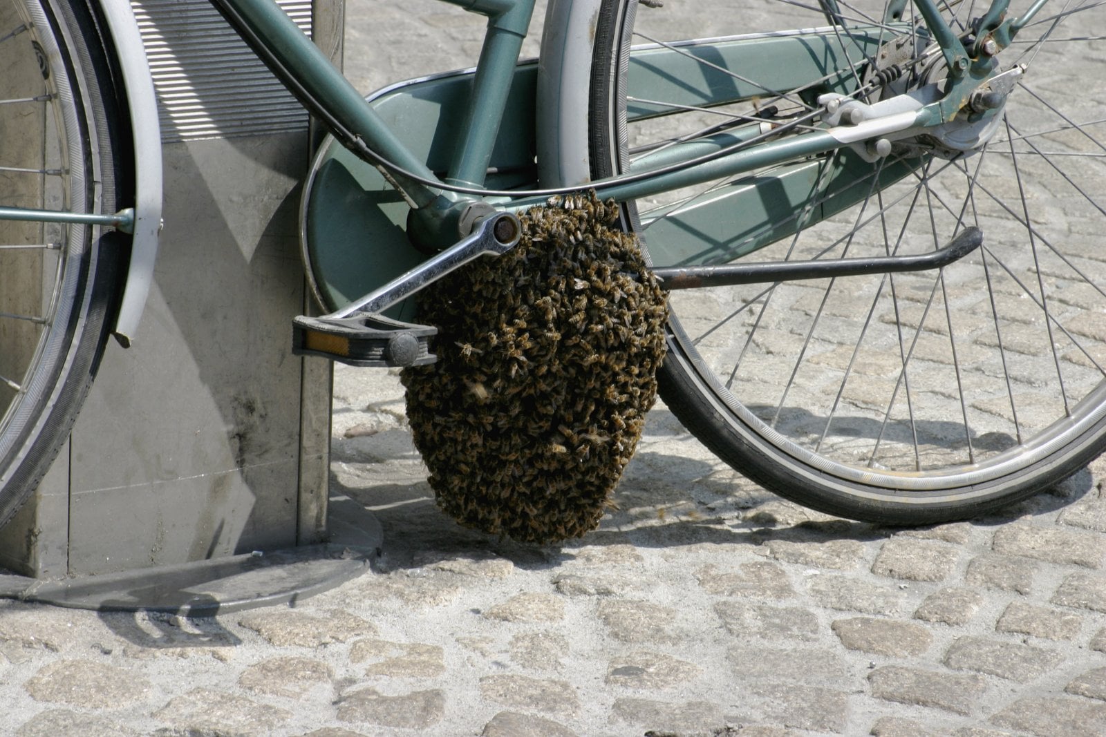 1ABADDD2-905D-472F-B3D8-8D6AB9F3B1C8.jpeg