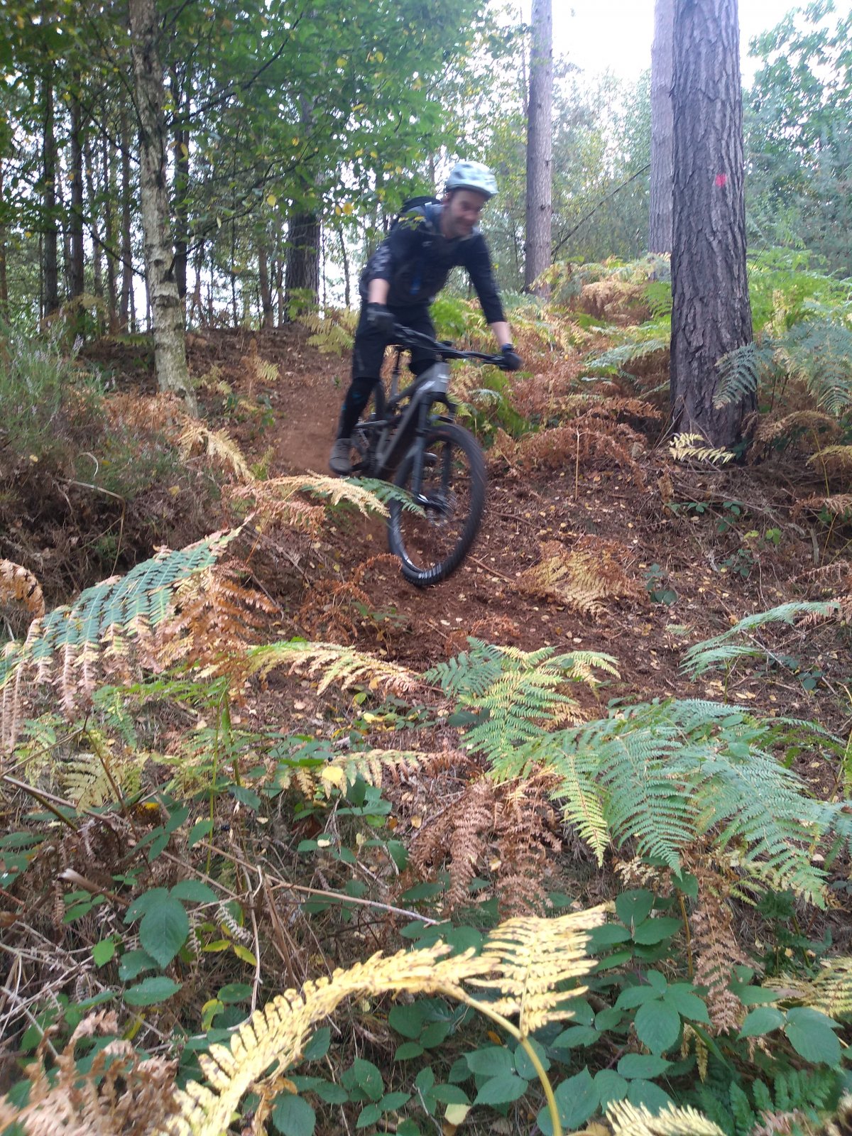 2 Davvee carving the soft loam.jpg
