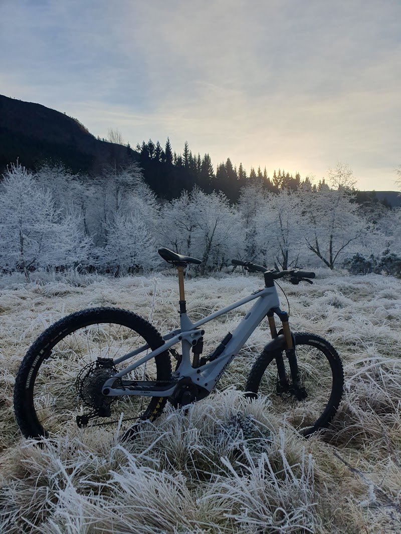 2 Orbea Wild 2023.jpg