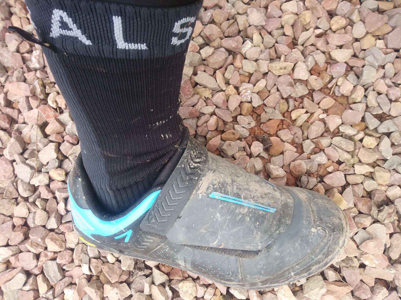 20180321_155911.jpg