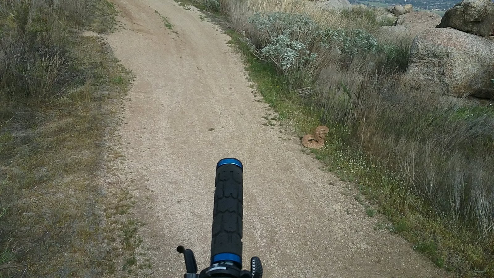 20180402_163440.jpg