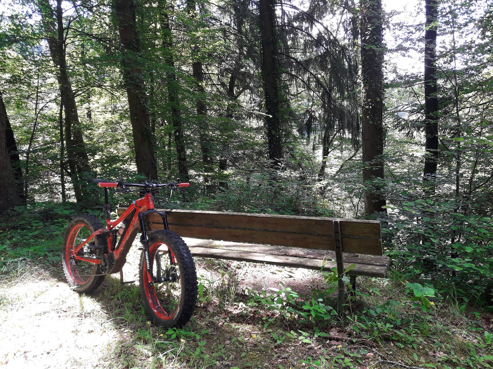 20180602_124149.jpg