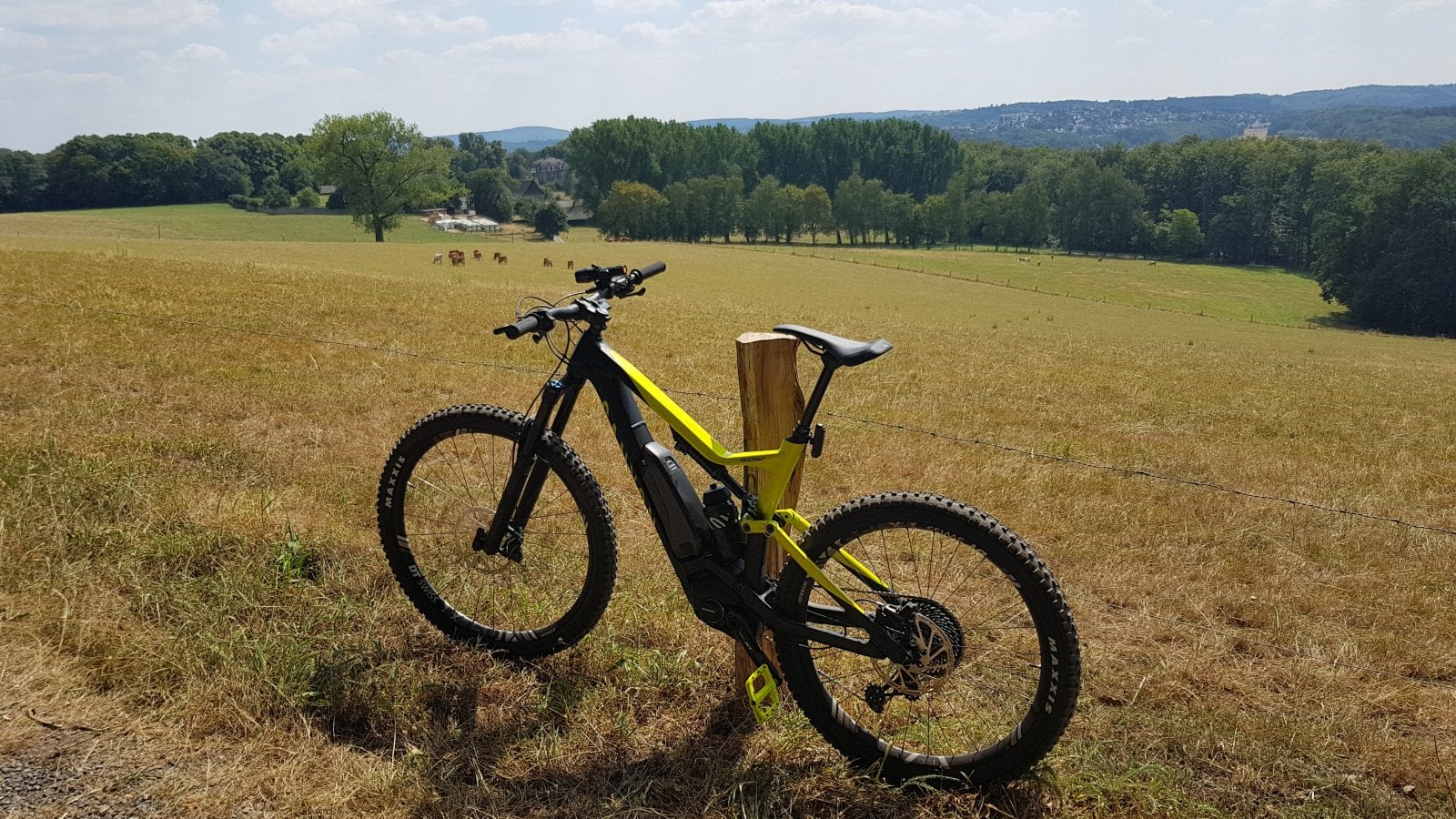 20180724_144422.jpg