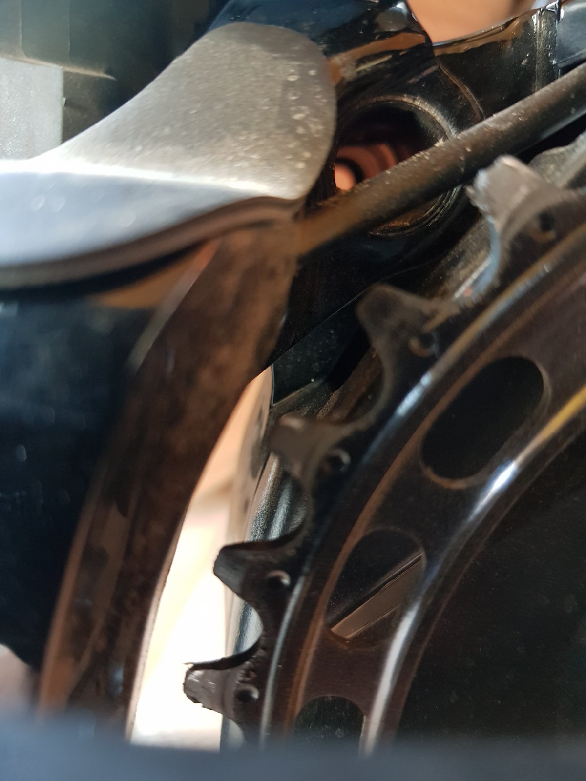 20180921_143917.jpg