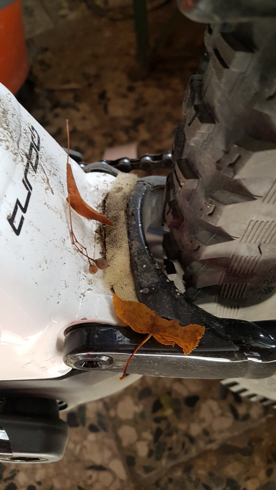 20181024_143035.jpg