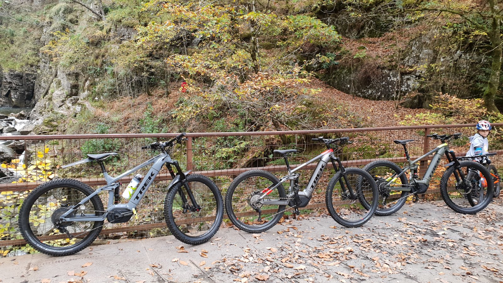 20181025_121155.jpg