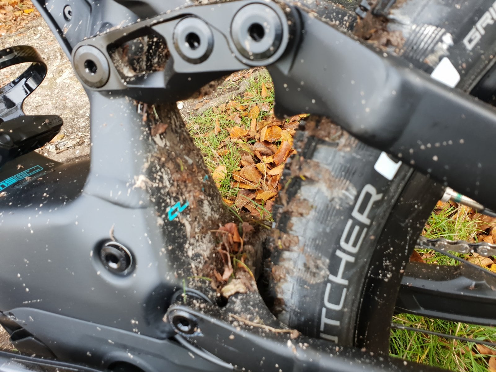 20181102_113412.jpg