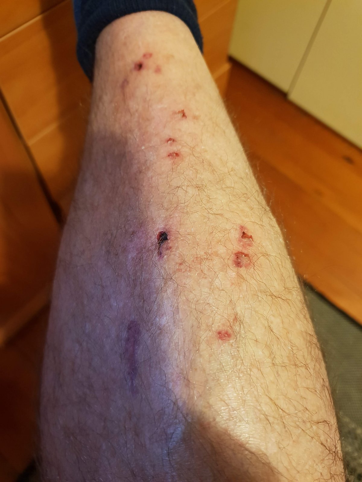20181104_200158.jpg