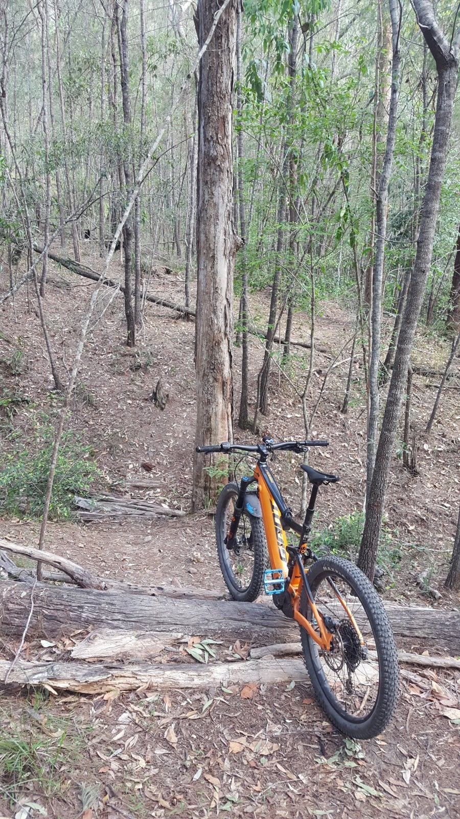 20181130_160223.jpg