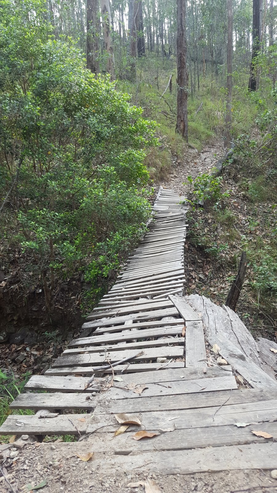 20181130_160959.jpg
