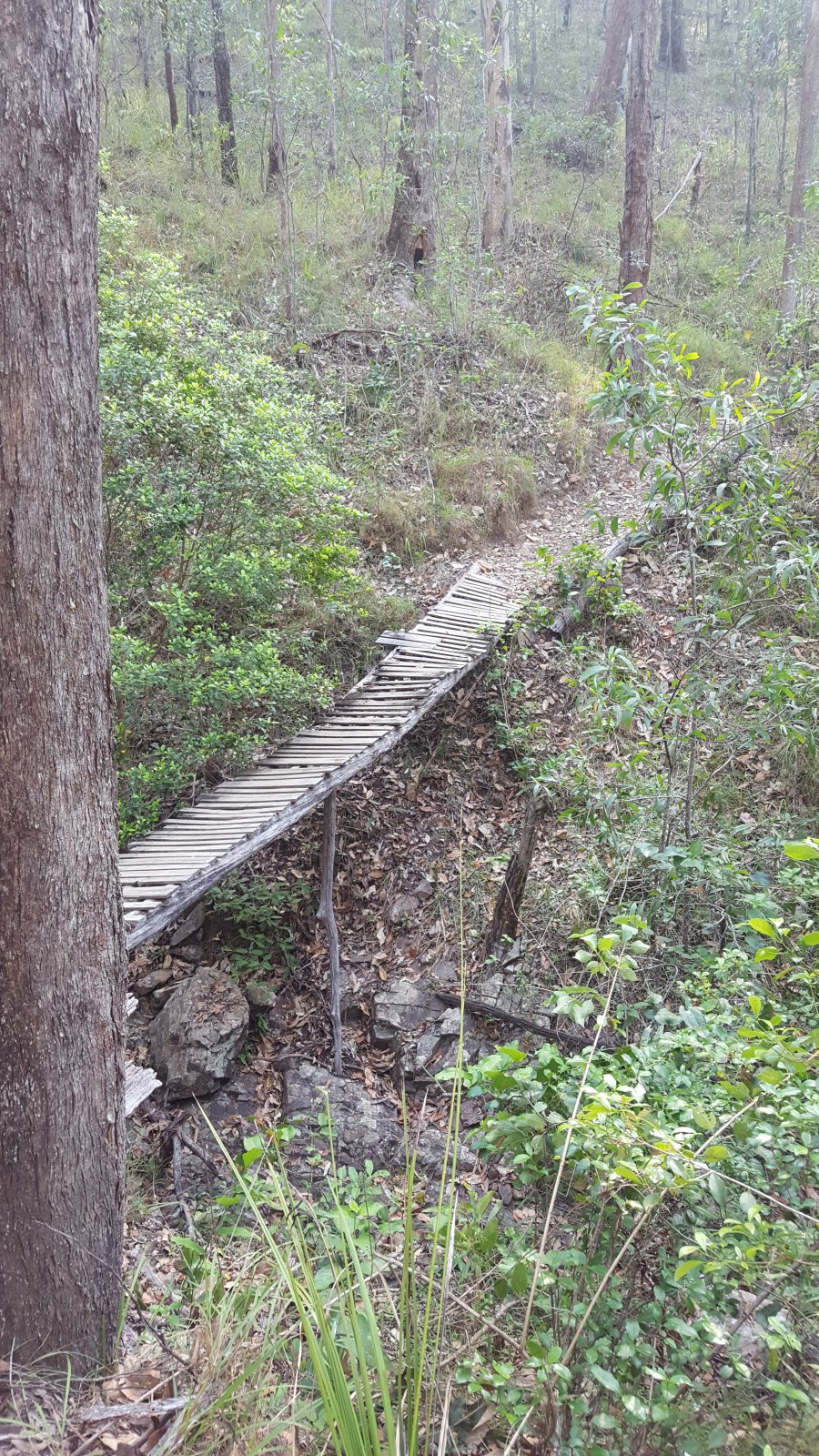 20181130_161057.jpg
