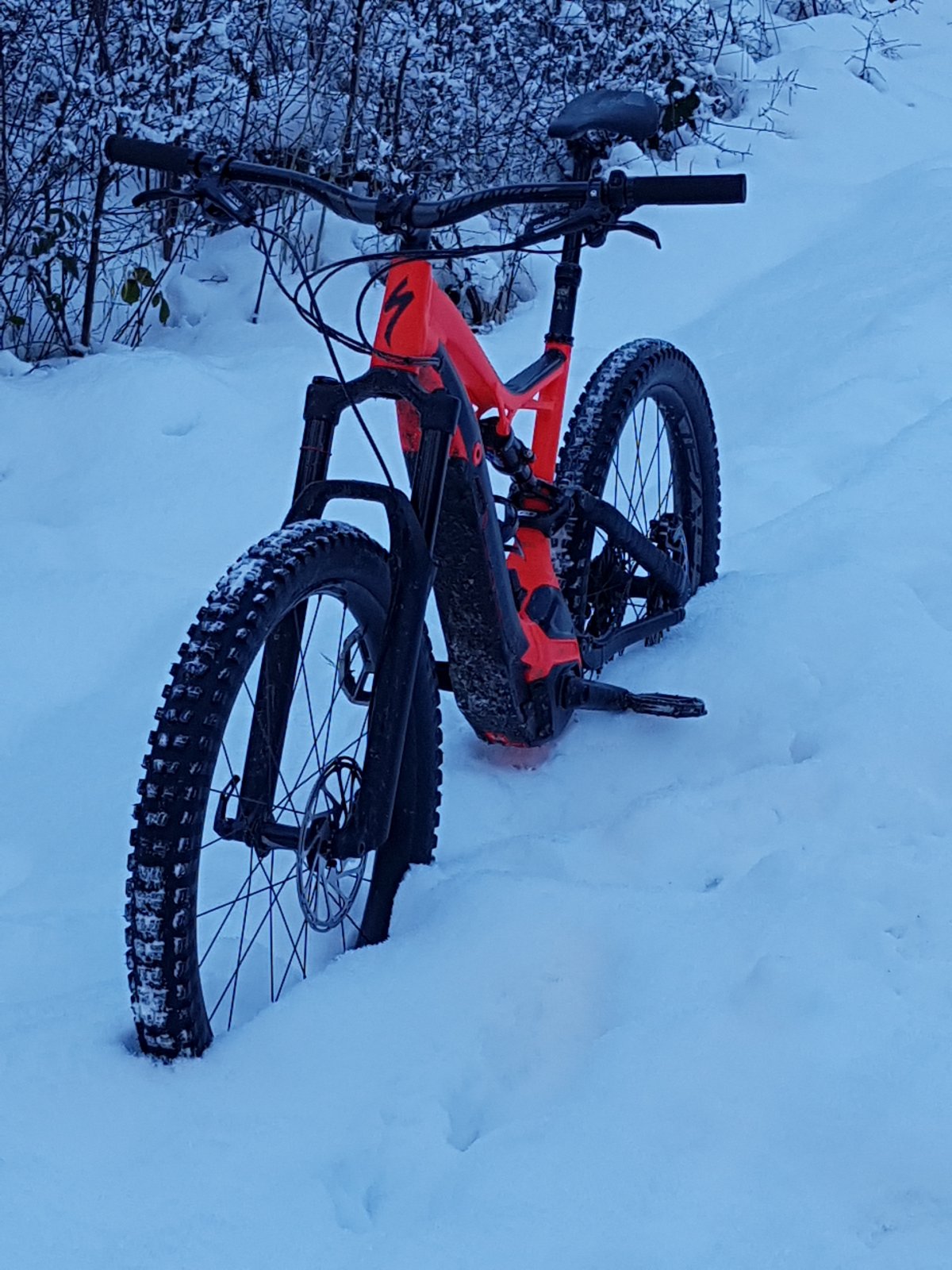 20190119_155300.jpg