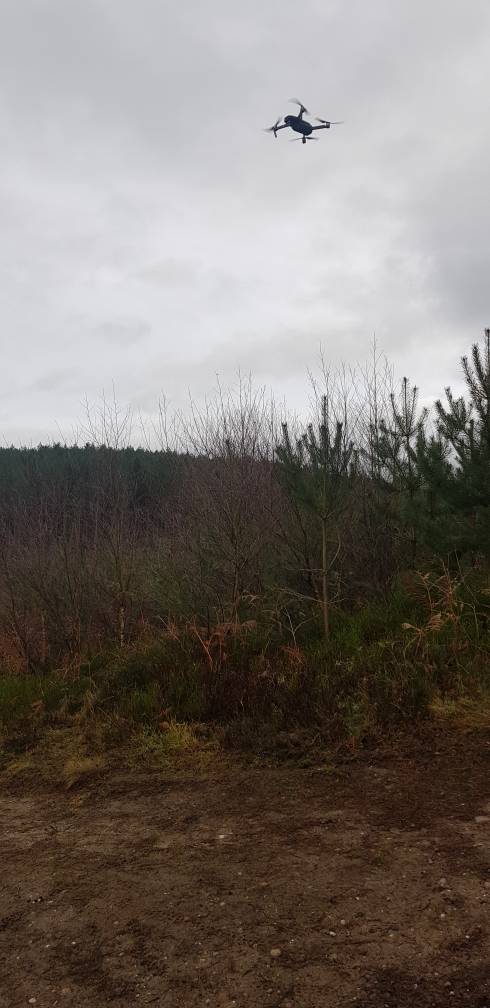 20190126_110520.jpeg
