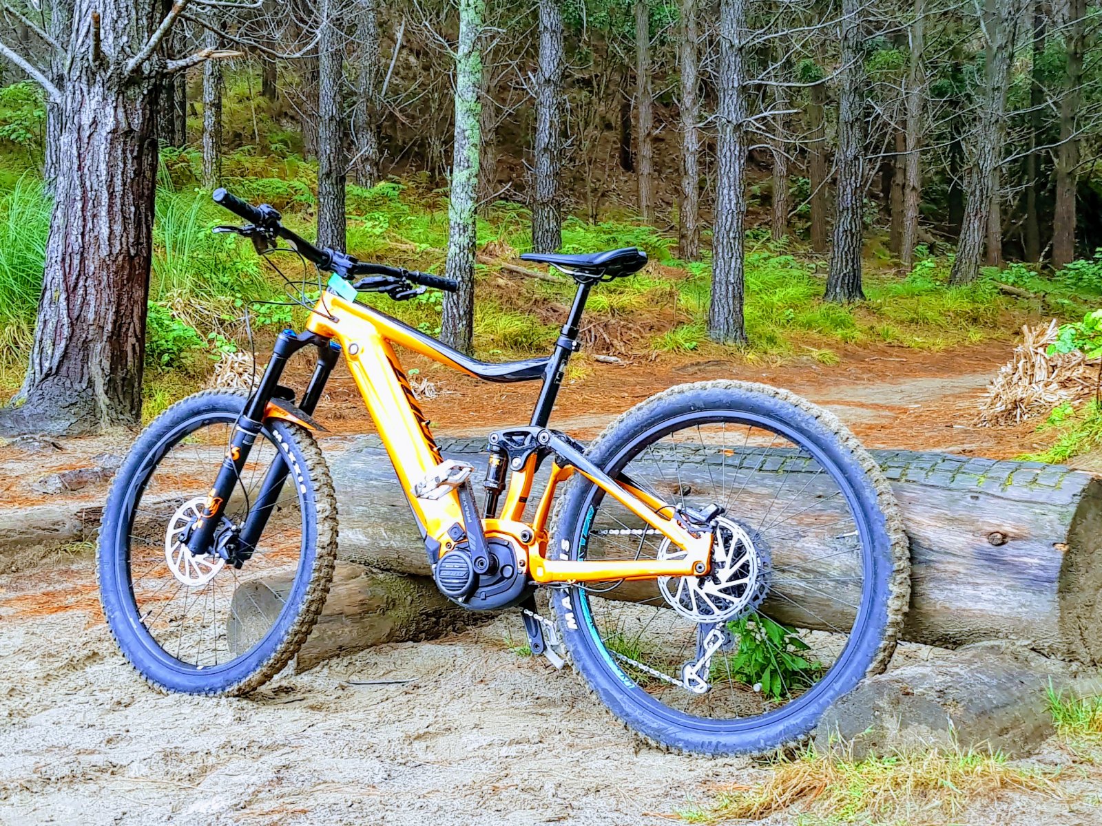 20190128_082953-EFFECTS.jpg