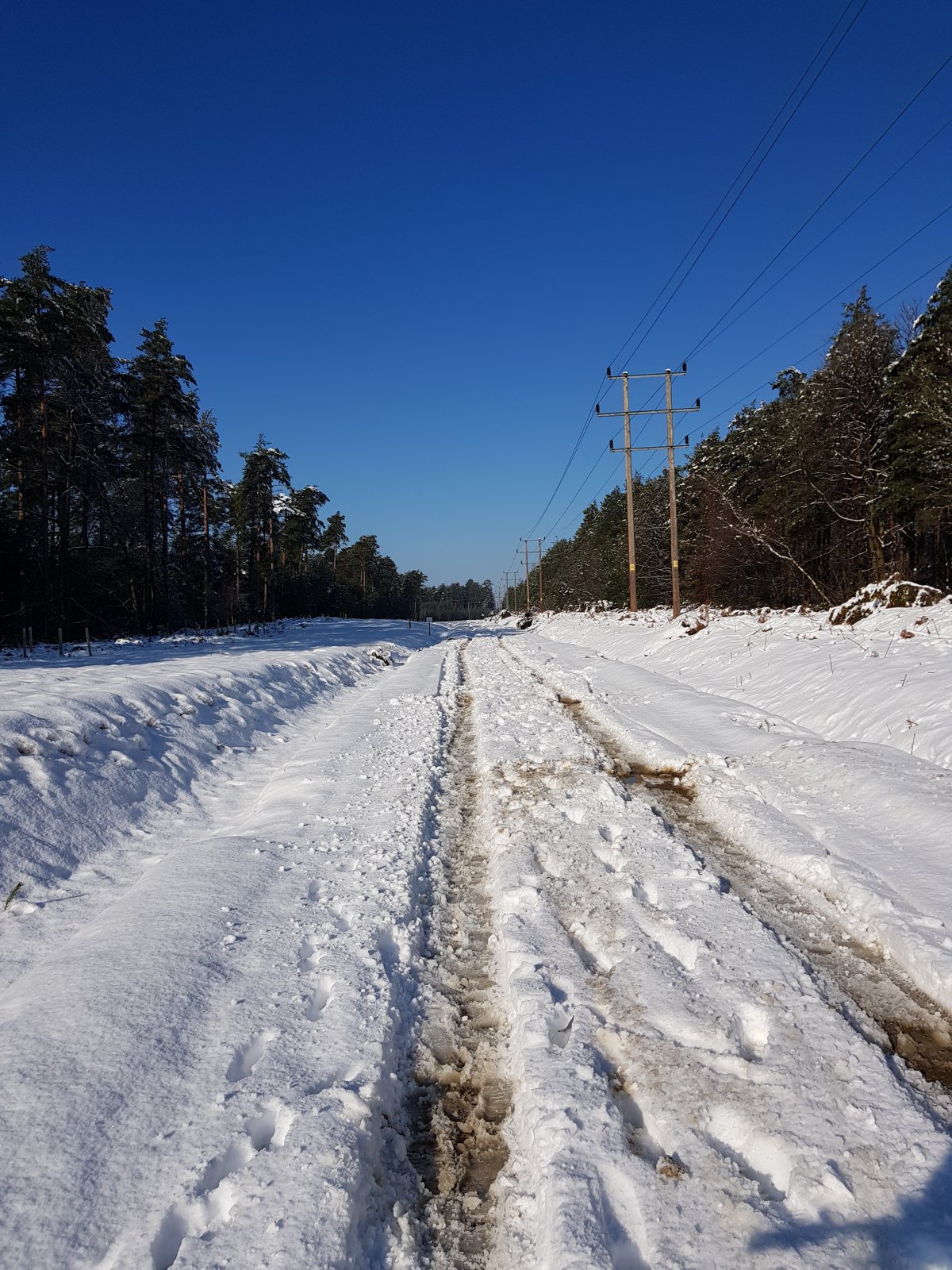 20190202_115443.jpg