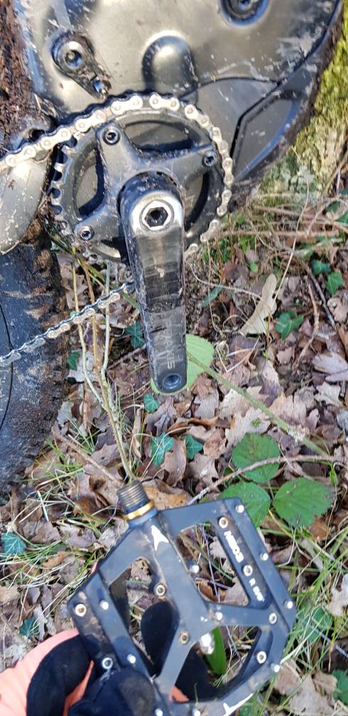 20190202_135637.jpeg