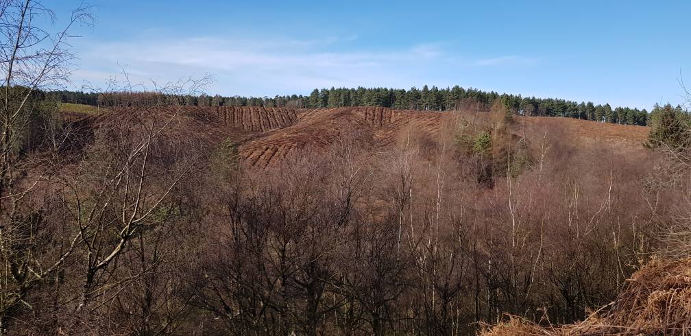 20190203_121821.jpeg