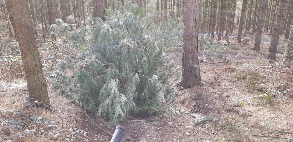 20190305_140526.jpeg