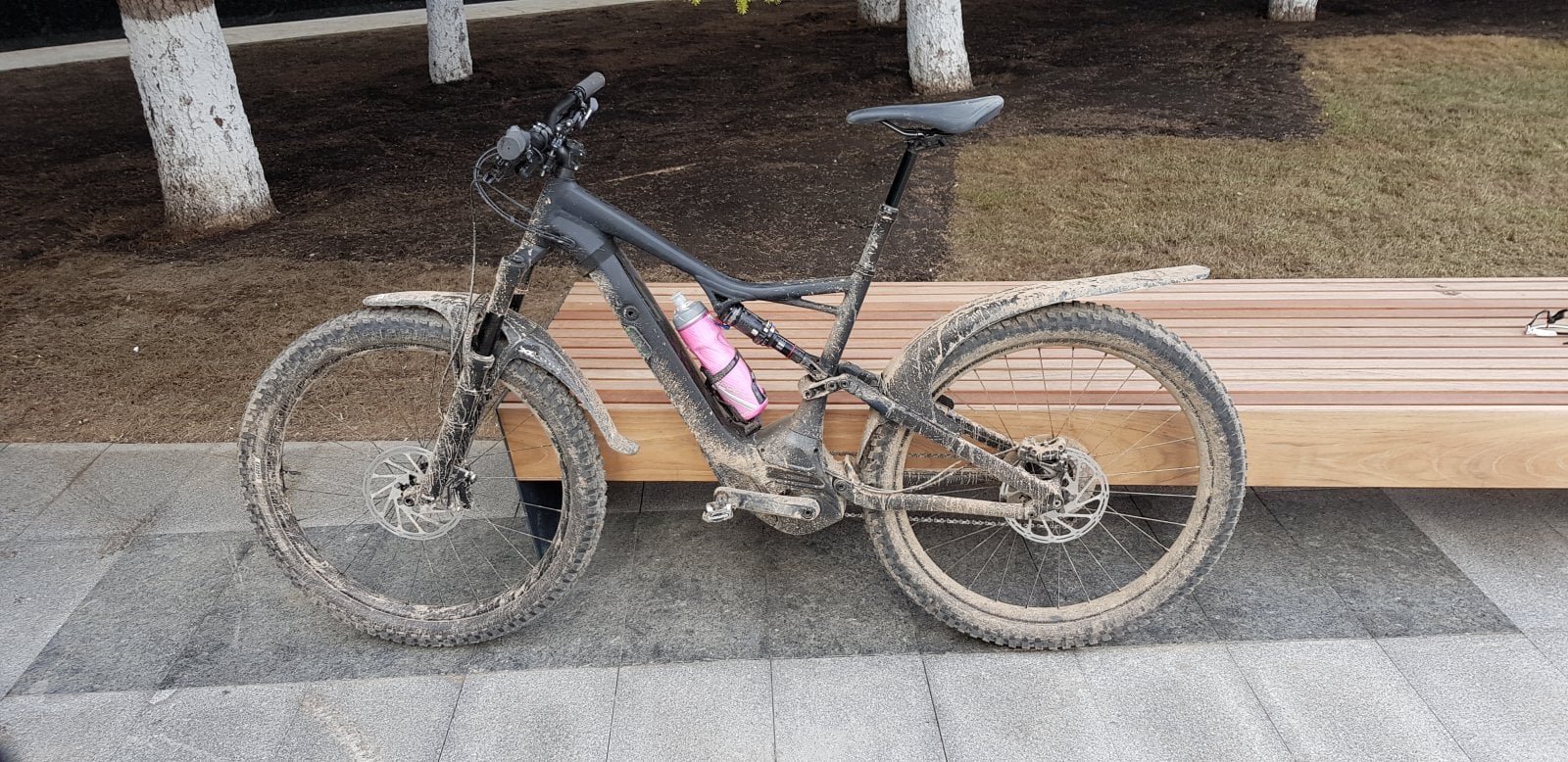 20190406_104150.jpg