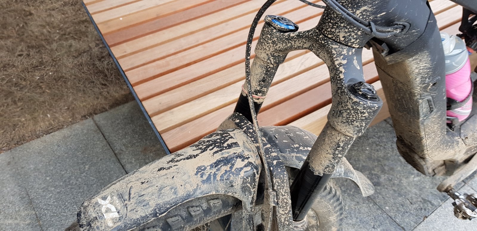 20190406_104158.jpg