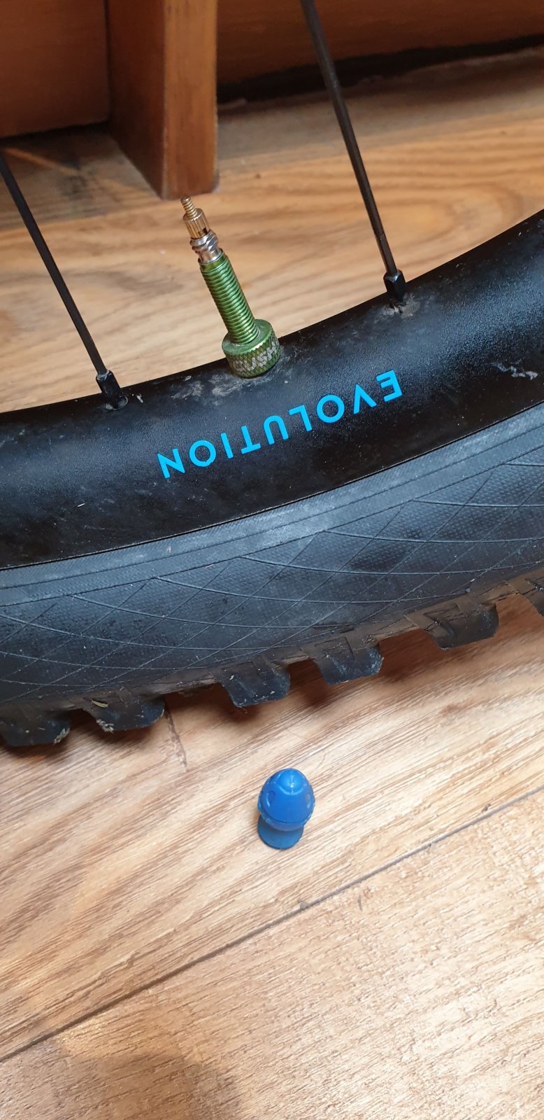 20190407_115414.jpg
