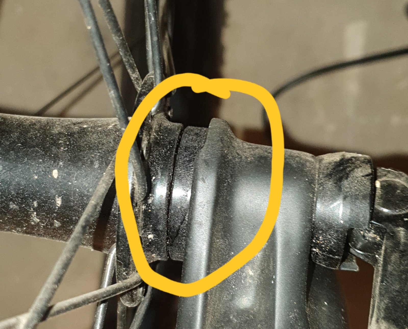 20190429_065624.jpg