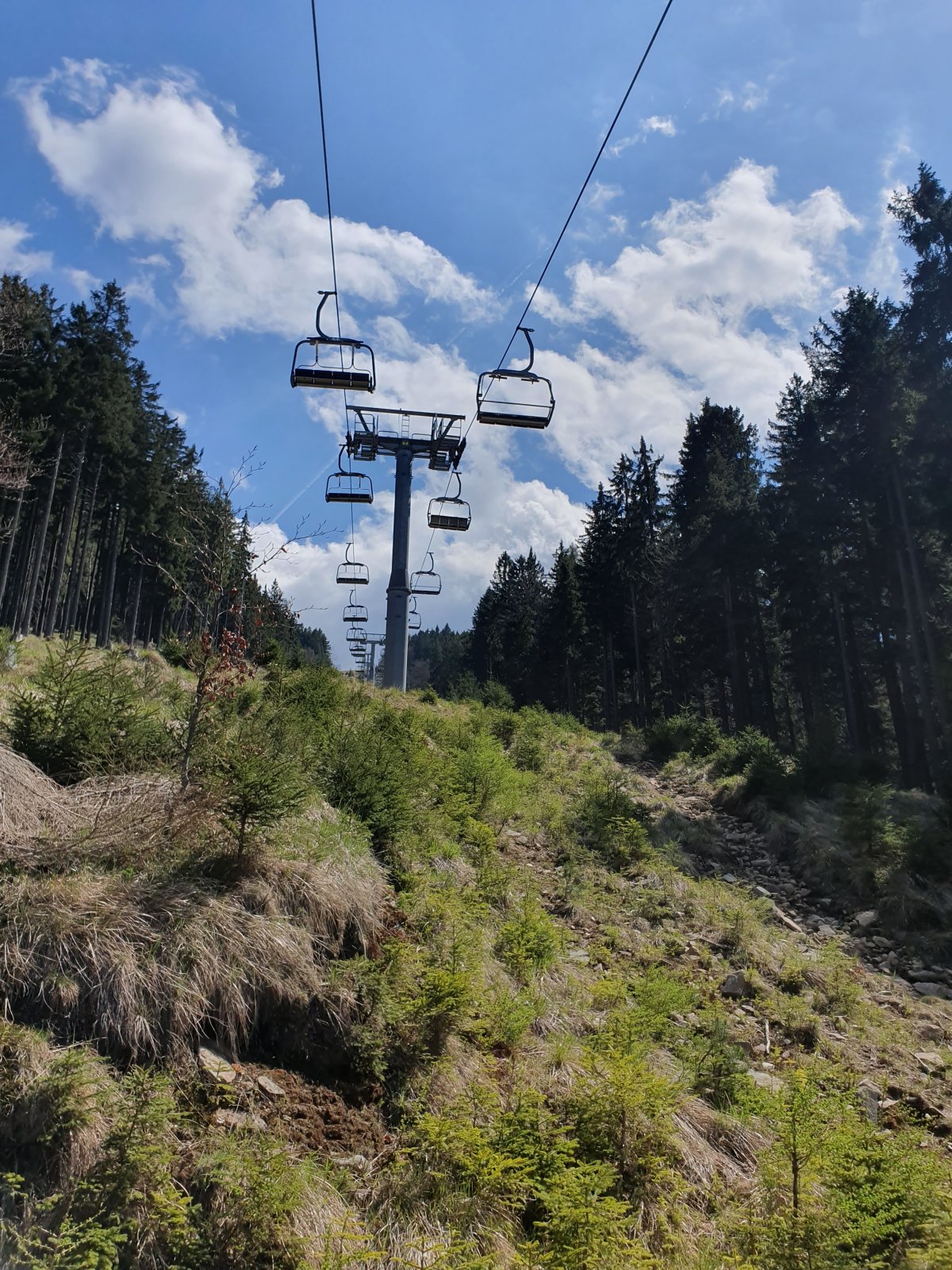 20190502_142002.jpg
