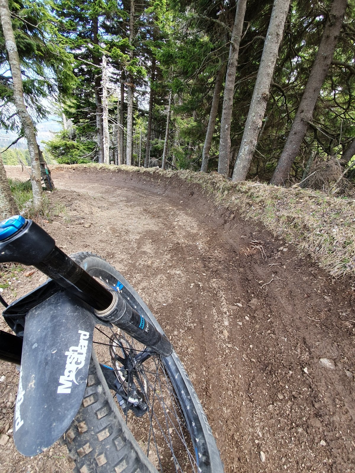 20190502_152649.jpg