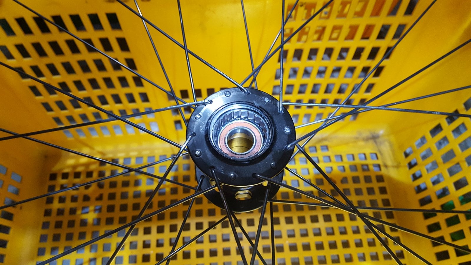 20190506_155956_001.jpg