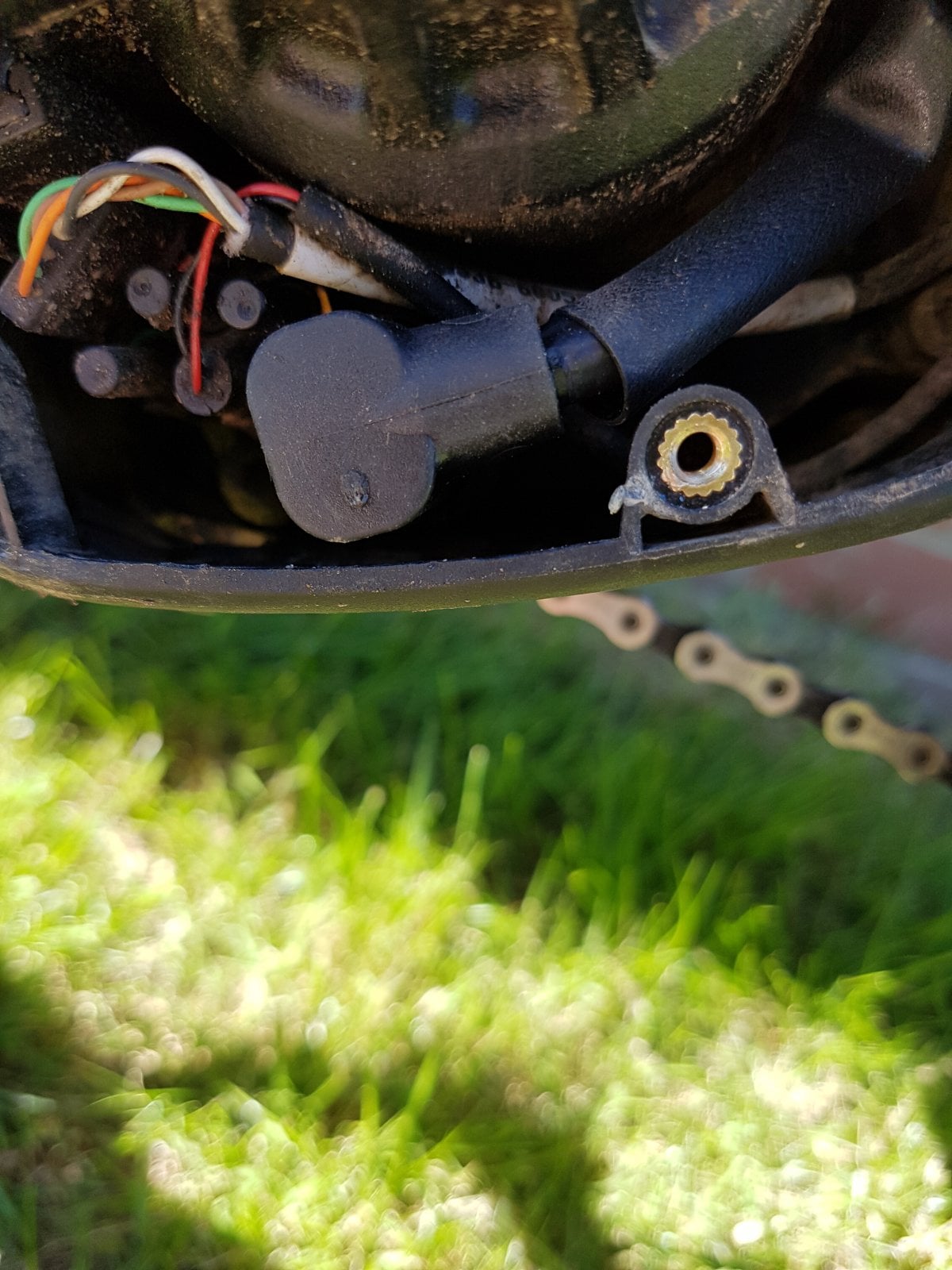 20190513_122845.jpg