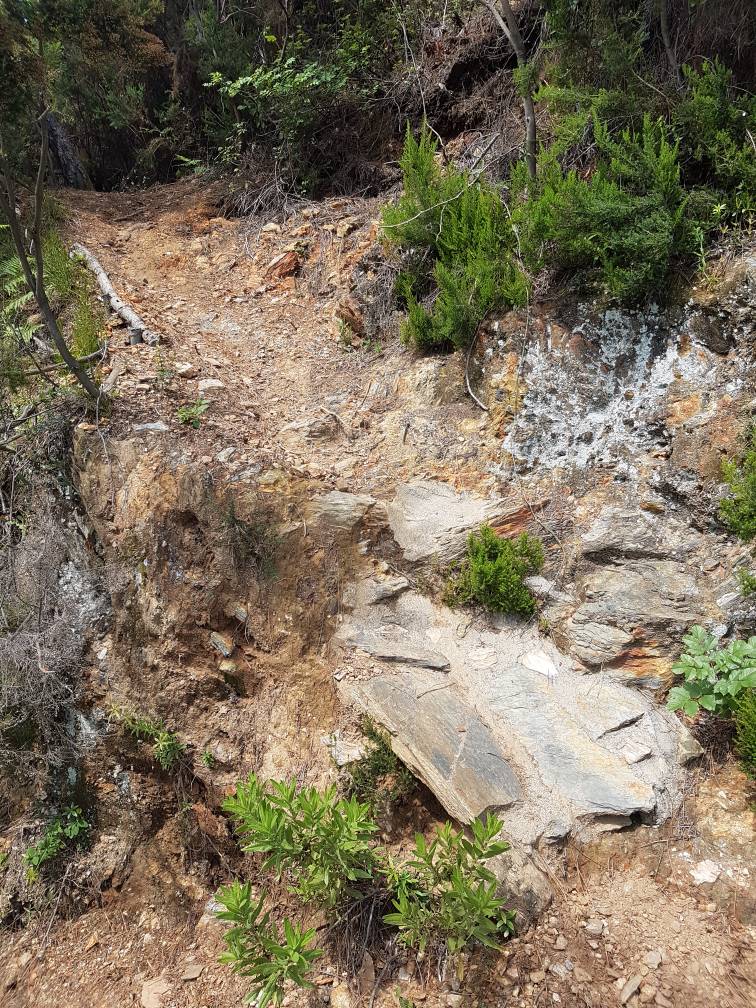 20190525_151752.jpg