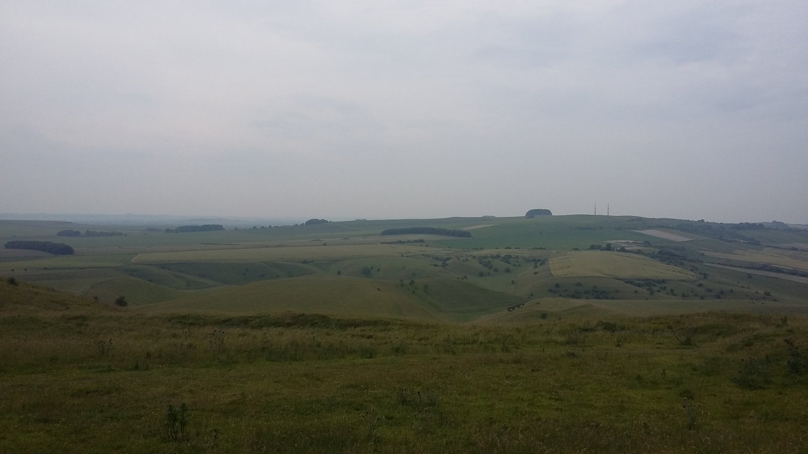 20190623_095951.jpg